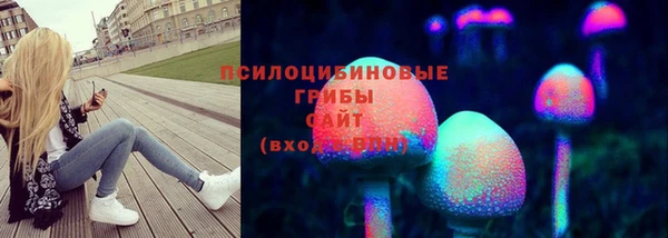 ГАЛЛЮЦИНОГЕННЫЕ ГРИБЫ Абдулино