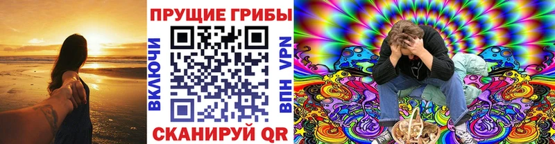 Галлюциногенные грибы Cubensis  где можно купить   Шарья 